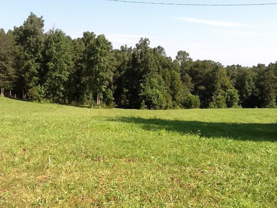 180 Gary Powell Road Eubank, KY 42567 - Photo 1 of 12 Primary Photo