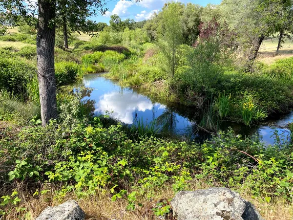 $1,599,000 | 18687 Rosemary Lane, Grass Valley, CA 95949