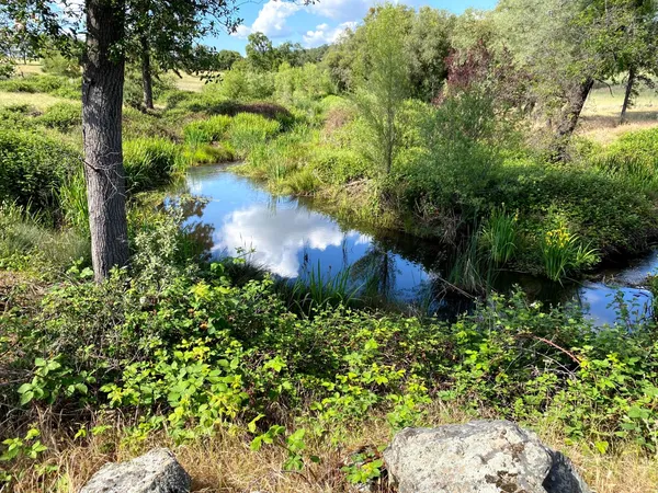 $1,599,000 | 18687 Rosemary Lane, Grass Valley, CA 95949