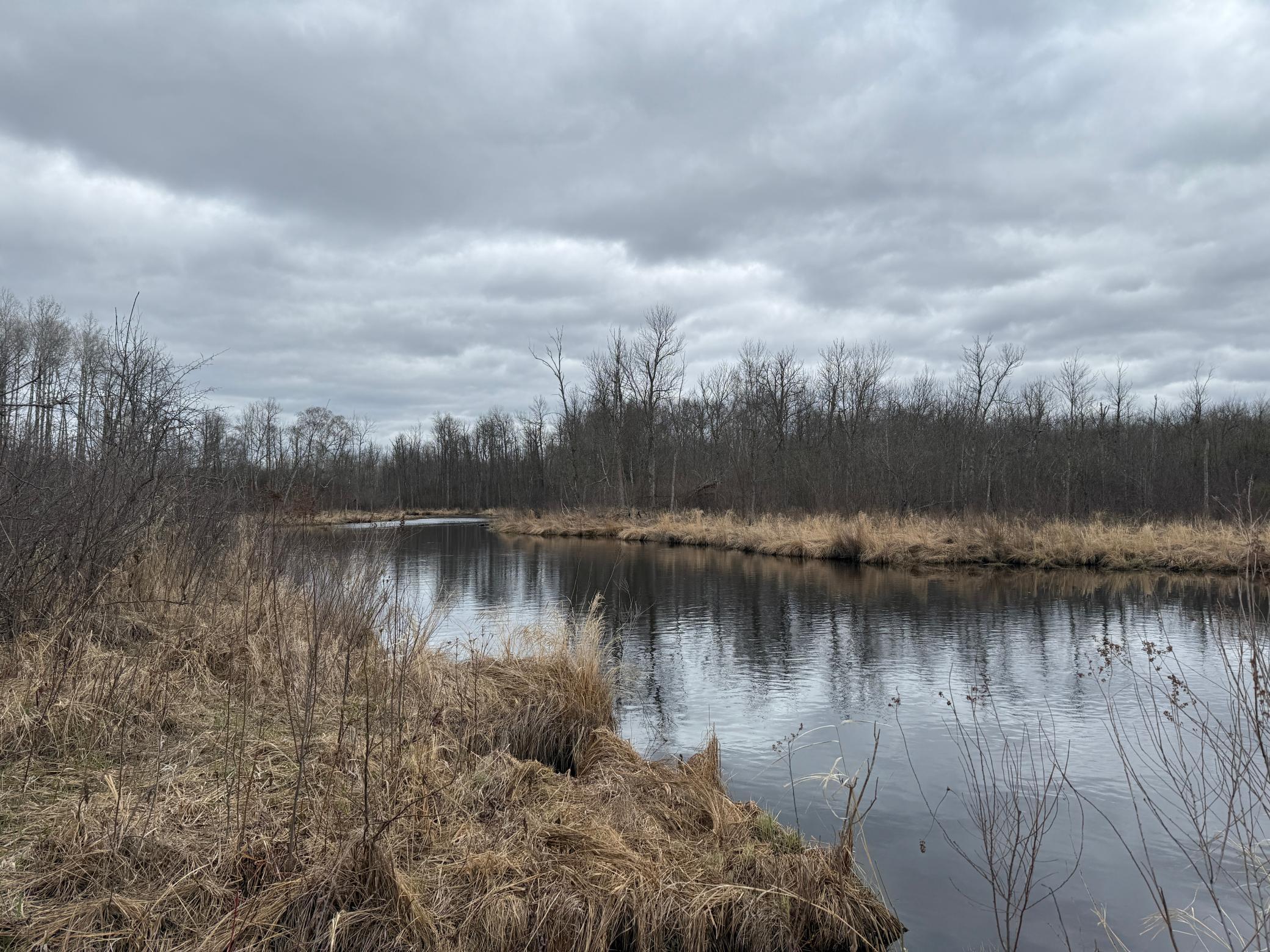 3854 Rasmussen Road Wright, MN 55798 - Photo 68 of 98
