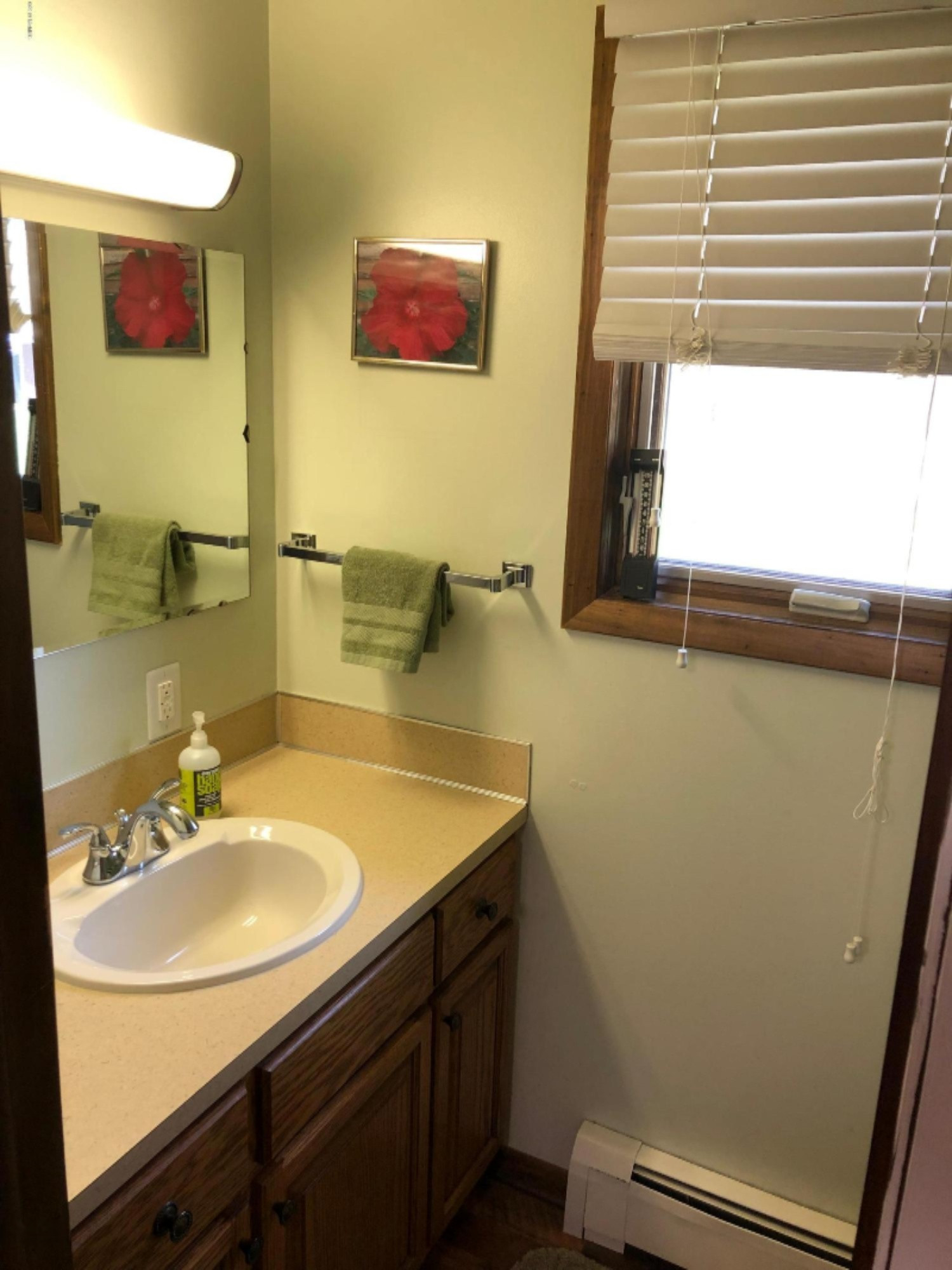 1988 Guthrie Road Manistee, MI 49660 - Photo 18 of 35 Half Bathroom off Laundry Rm