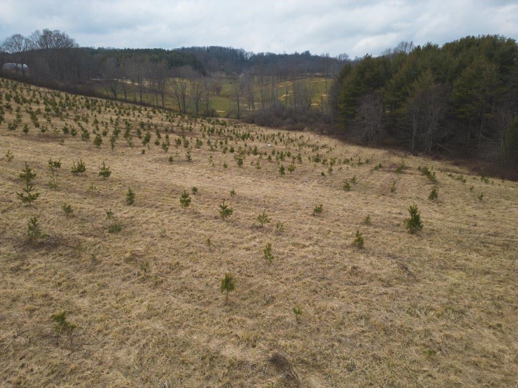 Tbd Long Mountain Road Southwest Willis, VA 24380 - Photo 17 of 66 Gallery Image 17