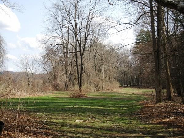 230 Stillwater Road Deerfield, MA 01342 - Photo 3 of 28 Gallery Image 3