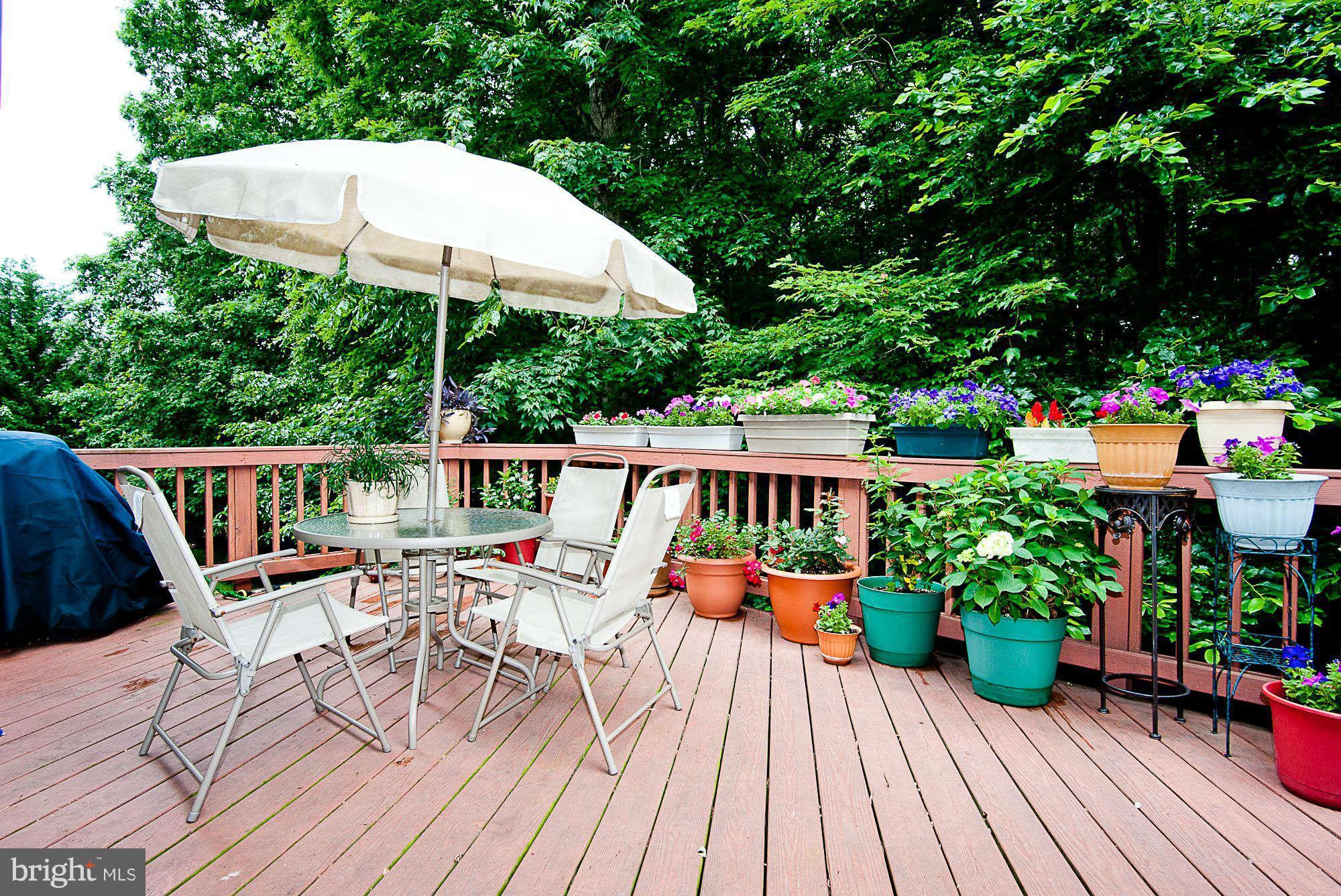 8542 Hooes Road Springfield, VA 22153 - Photo 28 of 30 Deck