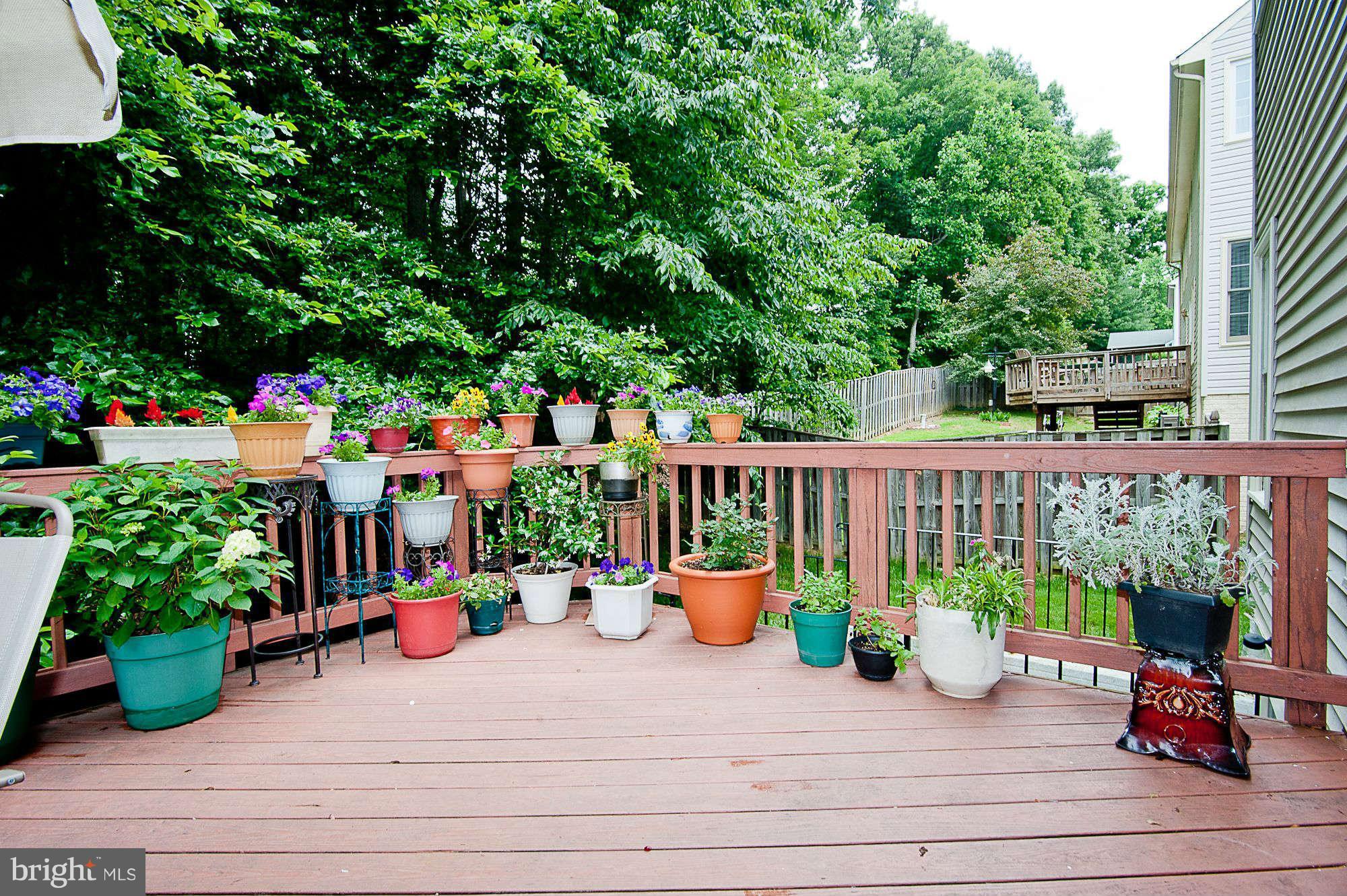 8542 Hooes Road Springfield, VA 22153 - Photo 29 of 30 Deck