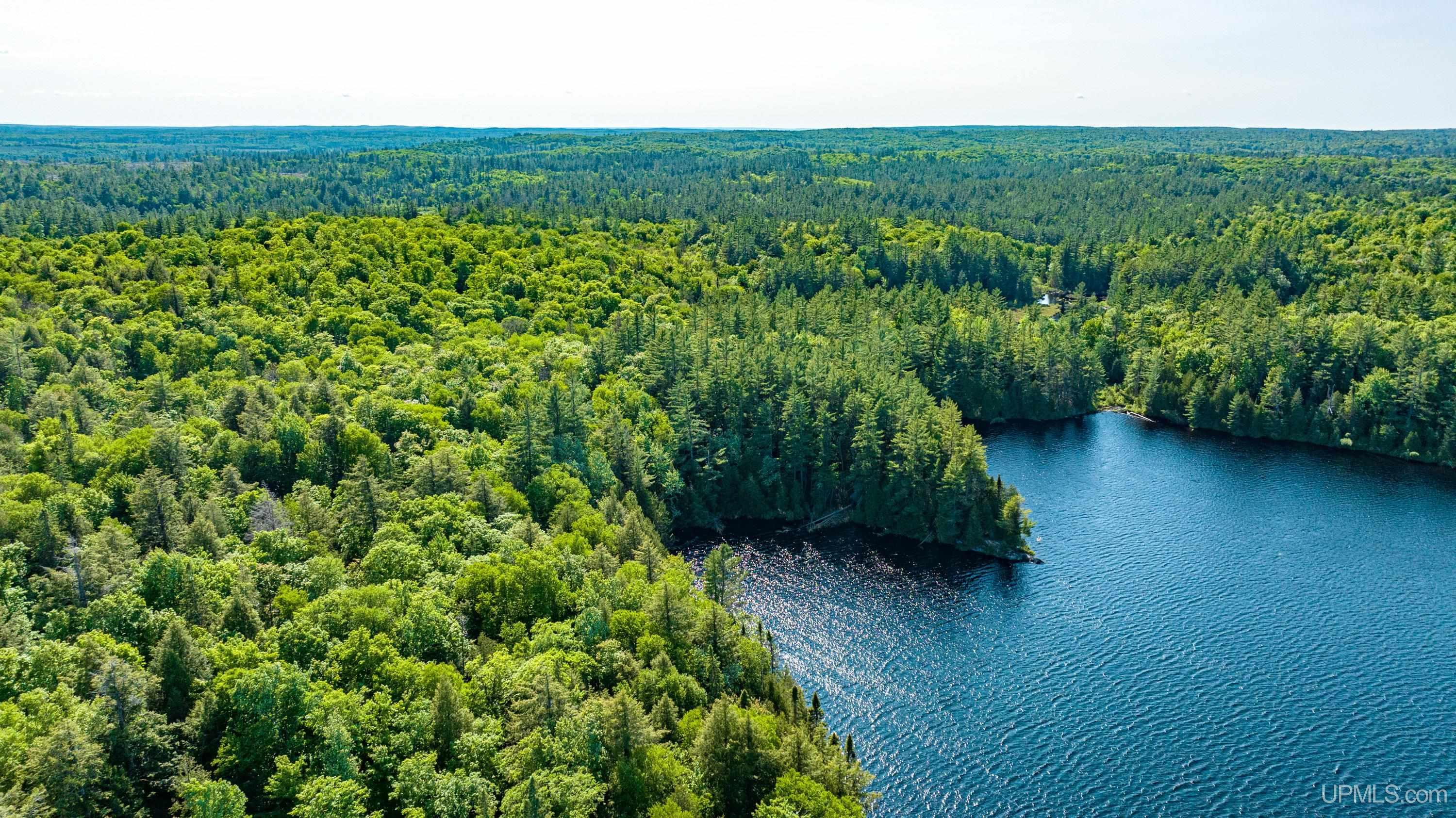 Tbd Tbd Dommer Lake Road Michigamme, MI 49861 - Photo 19 of 25