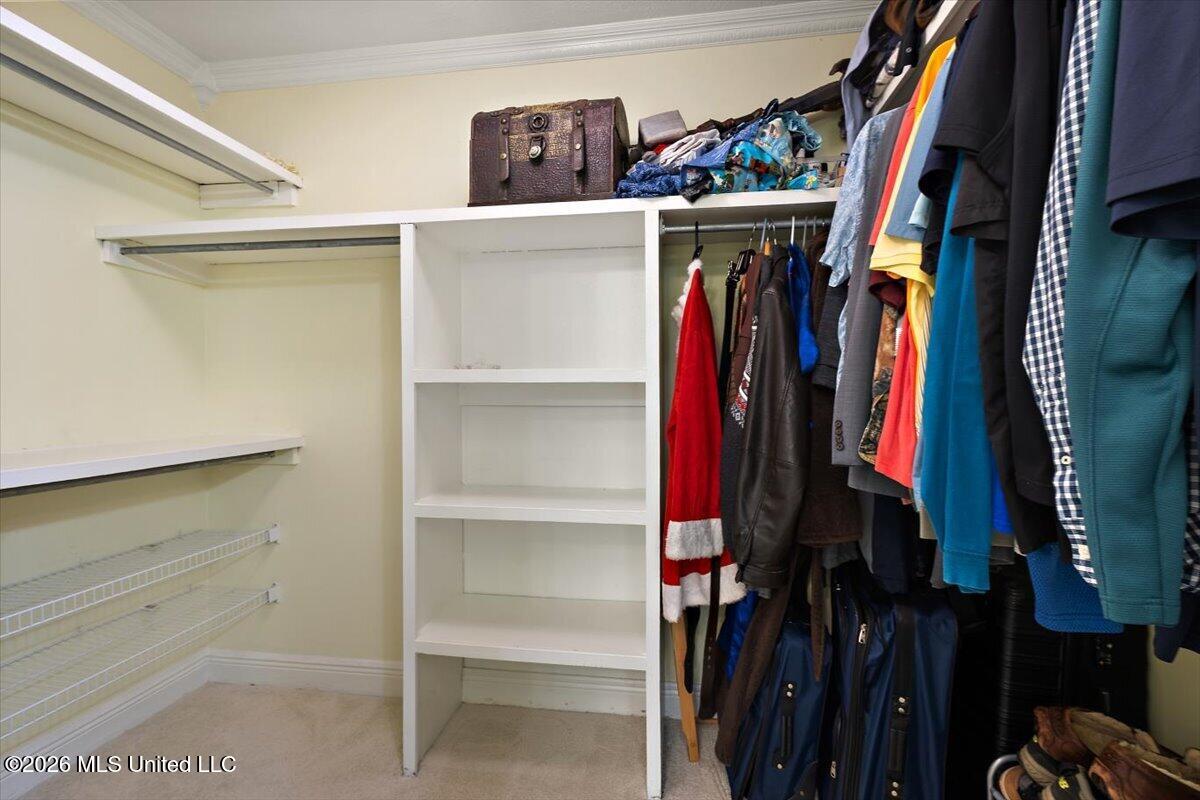 314 Avalon Way Brandon, MS 39047 - Photo 21 of 38 21-HTP_5541