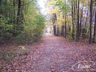 9000 West Frances Road Flushing, MI 48433 - Photo 6 of 6 20144353-5.JPG