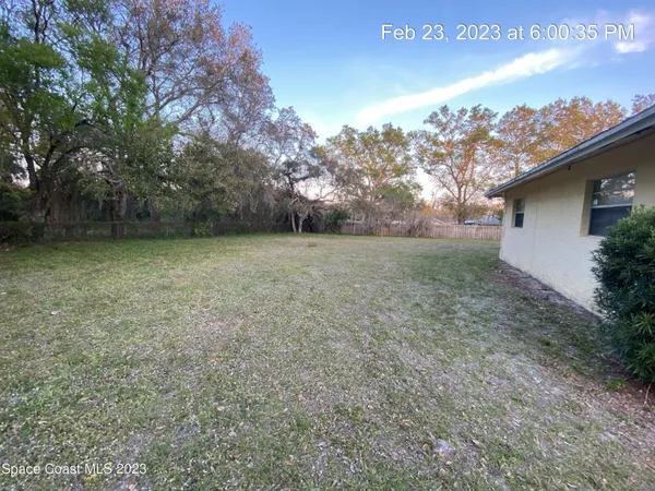 a view of a yard with a tree