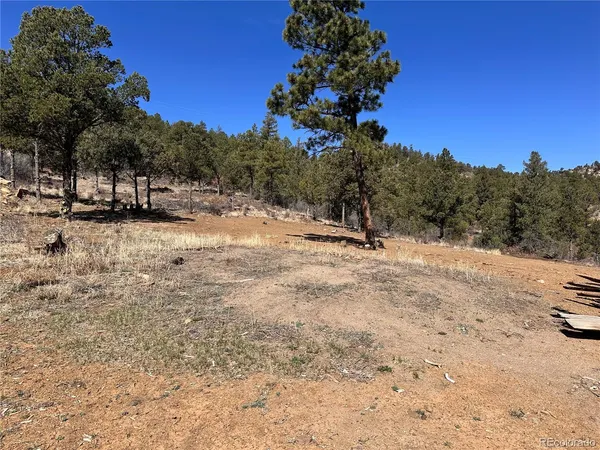 $65,000 | 0 Big Pine Ridge Road, Weston, CO 81091