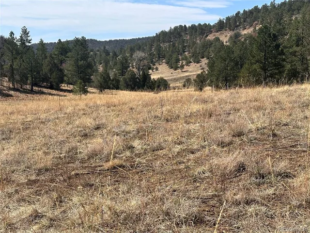 $79,000 | 0 Big Pine Ridge Road, Weston, CO 81091