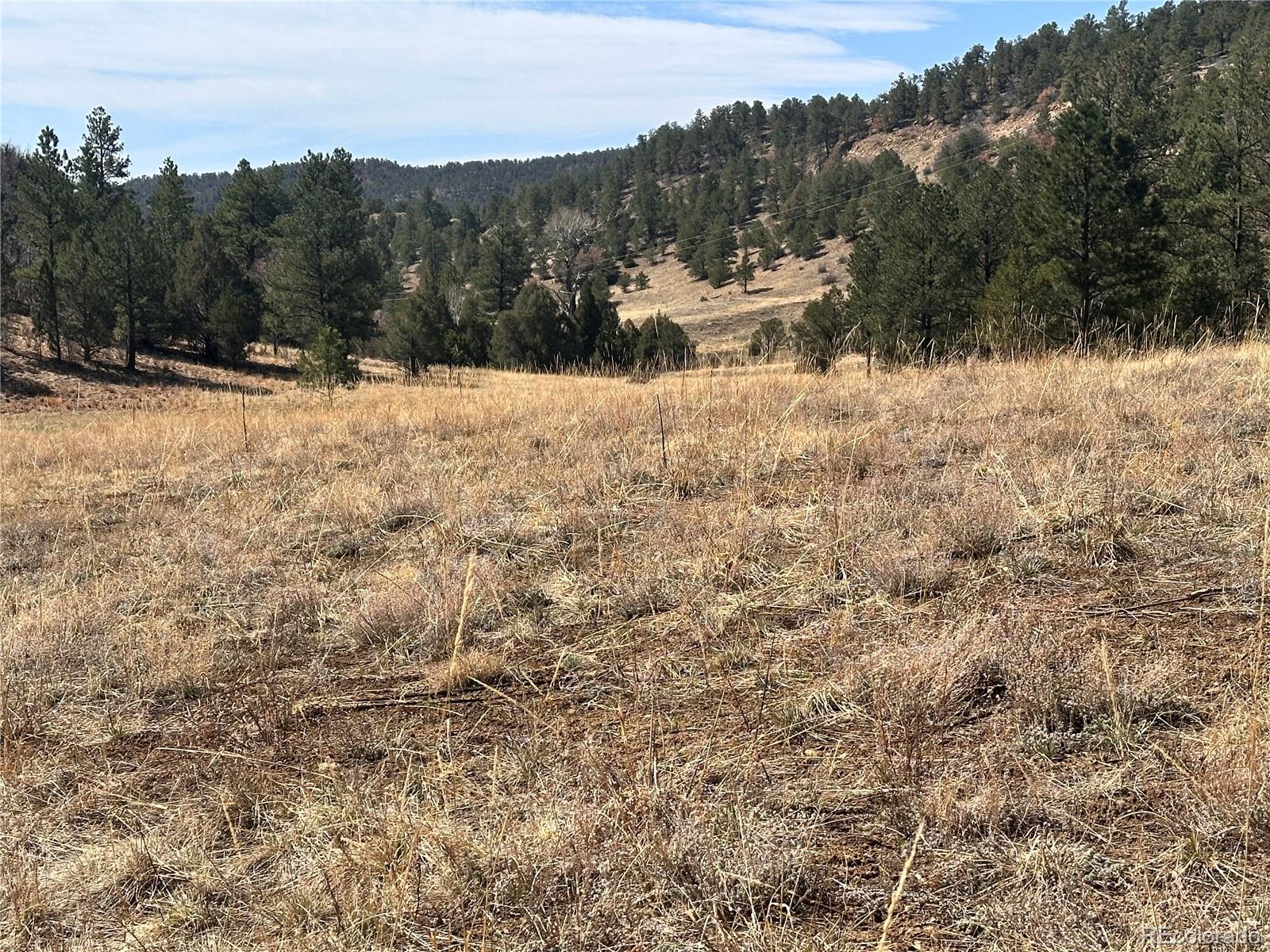 0 Big Pine Ridge Road Weston, CO 81091 - Photo 20 of 20