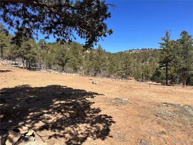 $79,000 | 0 Big Pine Ridge Road, Weston, CO 81091