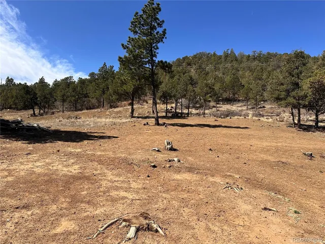 $79,000 | 0 Big Pine Ridge Road, Weston, CO 81091