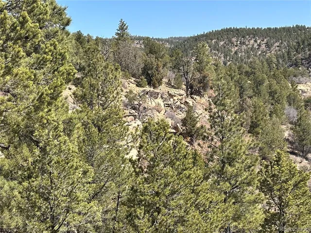 $79,000 | 0 Big Pine Ridge Road, Weston, CO 81091