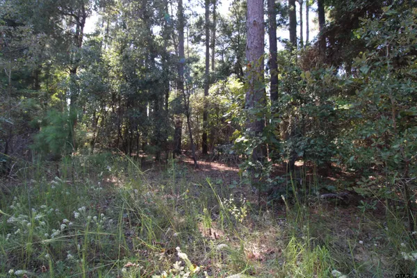 $15,000 | Lot 23 Briar Gove, Murchison, TX 75778