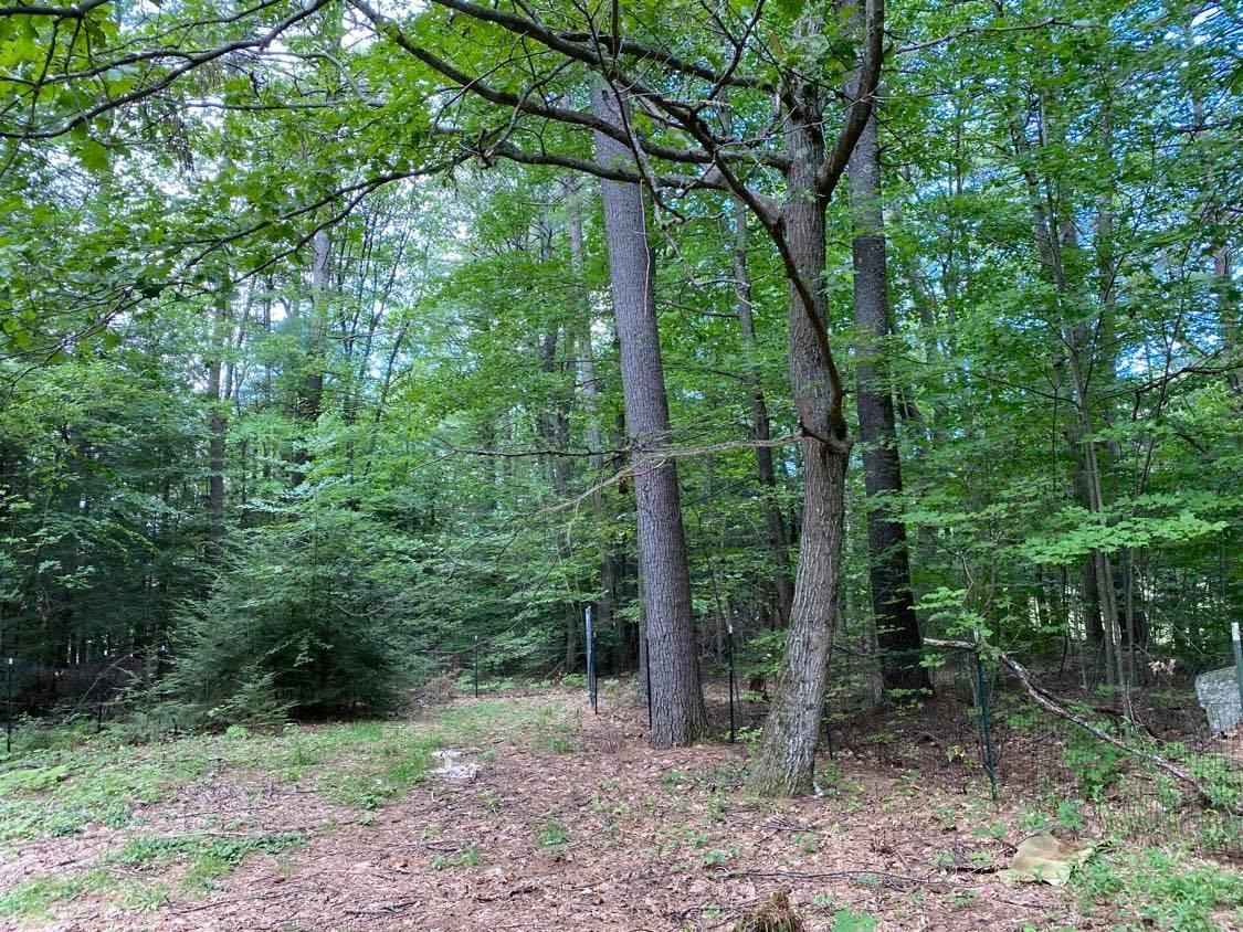 44 Hubbard Pond Road New Ipswich, NH 03071 - Photo 2 of 13