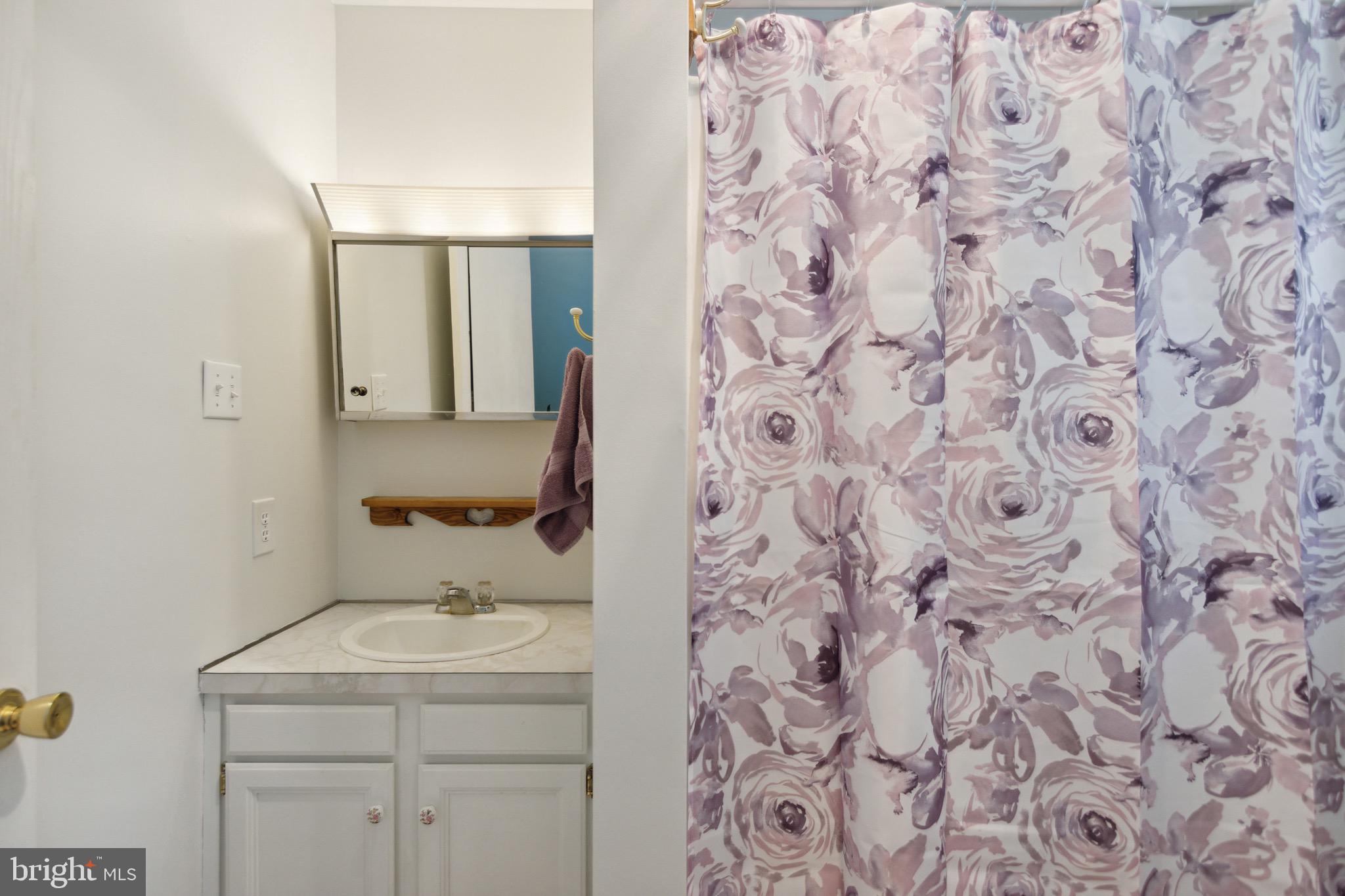 432 Uniontown Road Westminster, MD 21158 - Photo 20 of 51 Primary Bathroom at Main Level