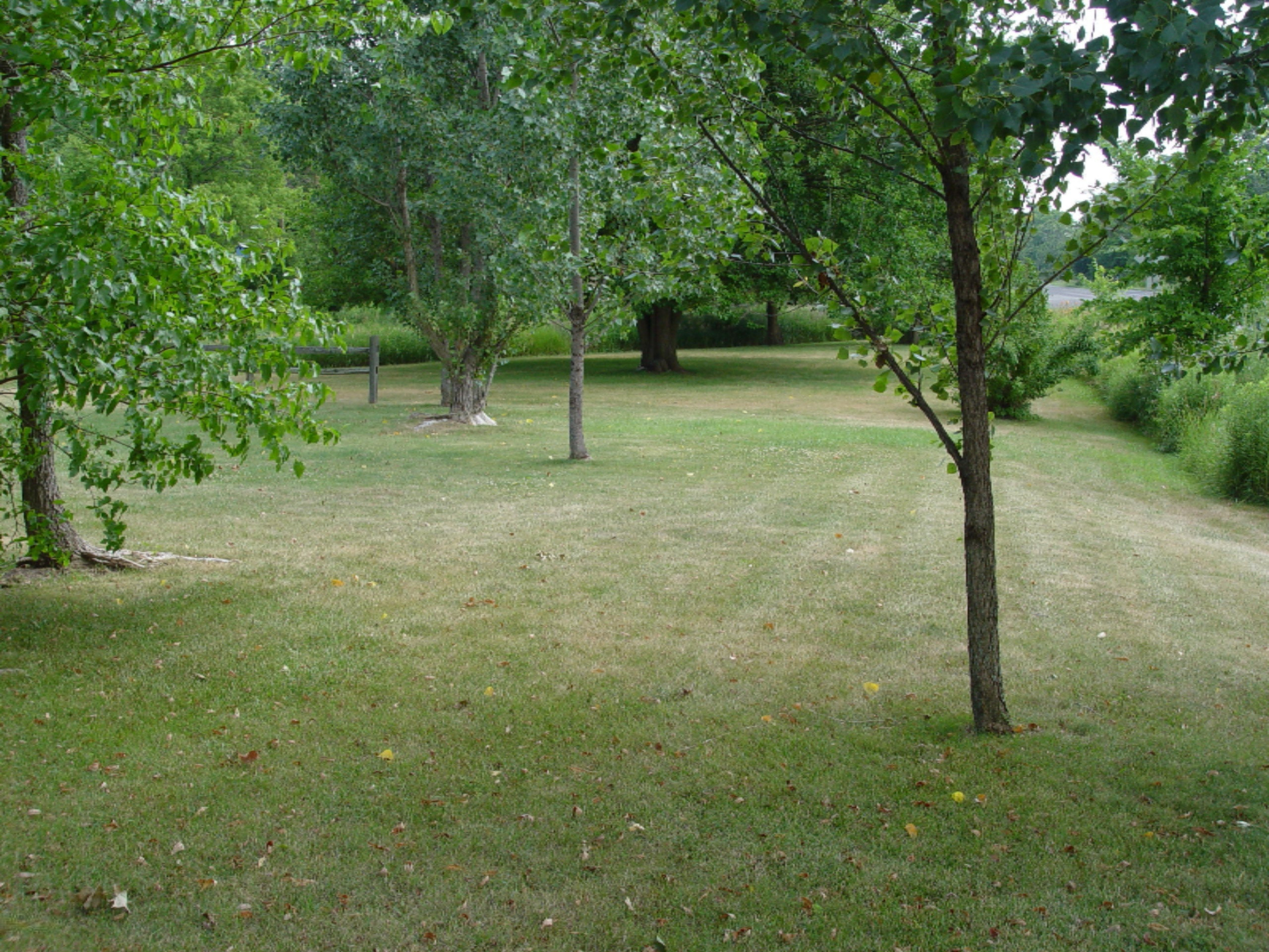 1888 Barber Road Hastings, MI 49058 - Photo 20 of 22 DSC09819