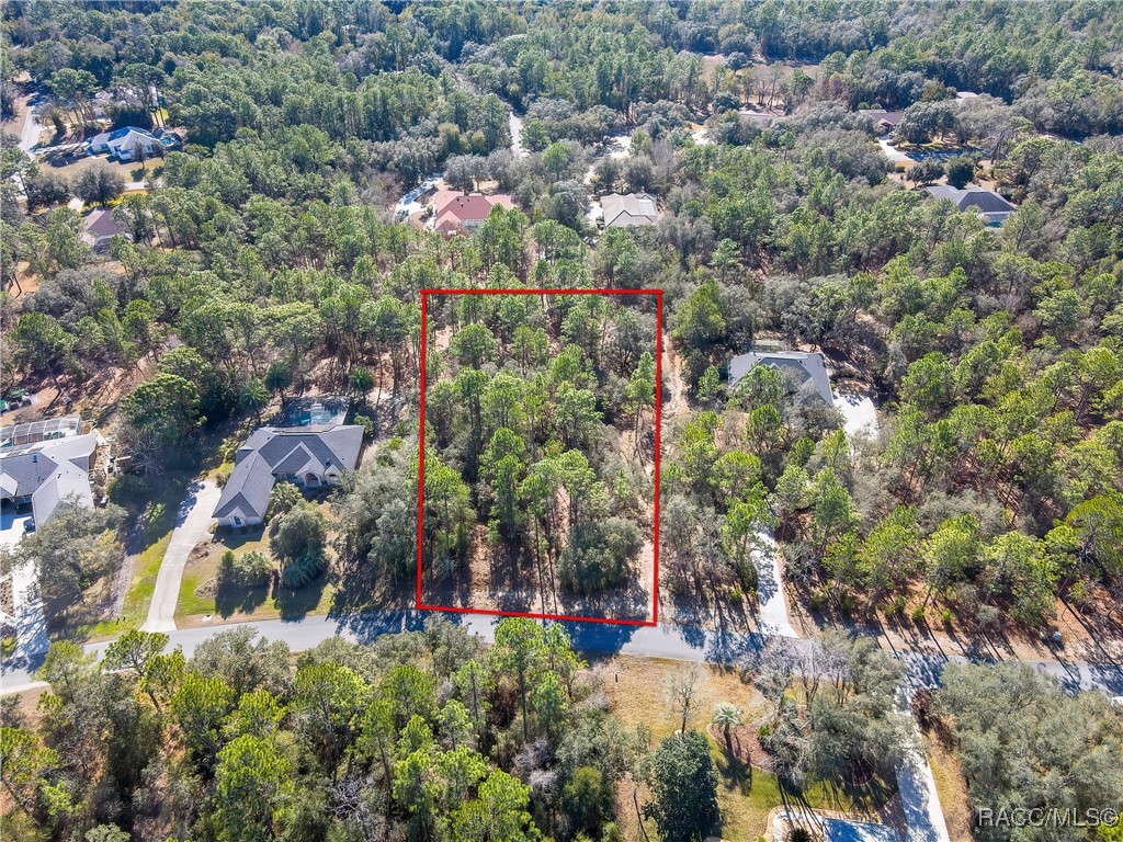 3921 North Longvalley Road Hernando, FL 34442 - Photo 4 of 11