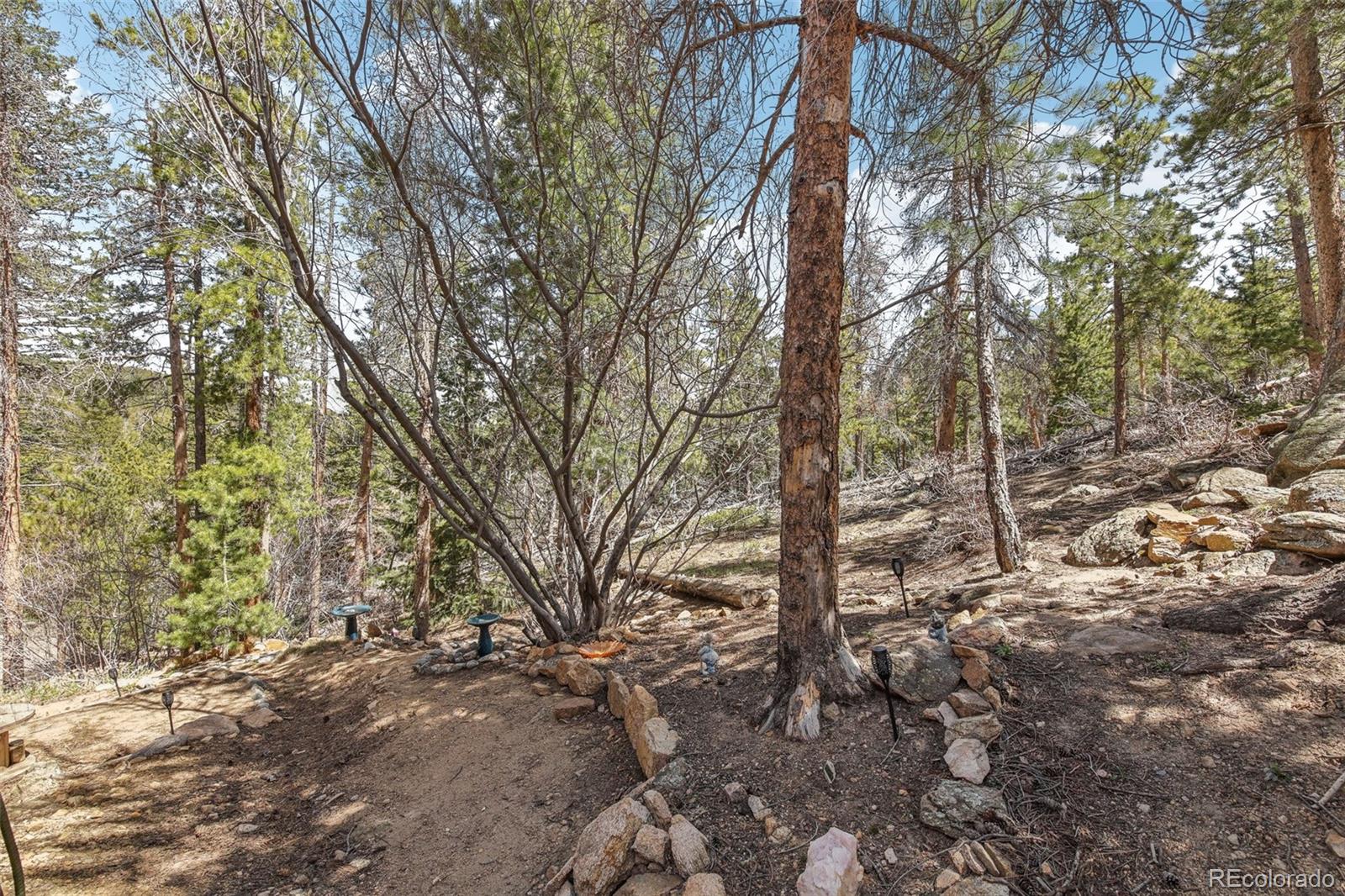 11726 Brook Road Golden, CO 80403 - Photo 13 of 50