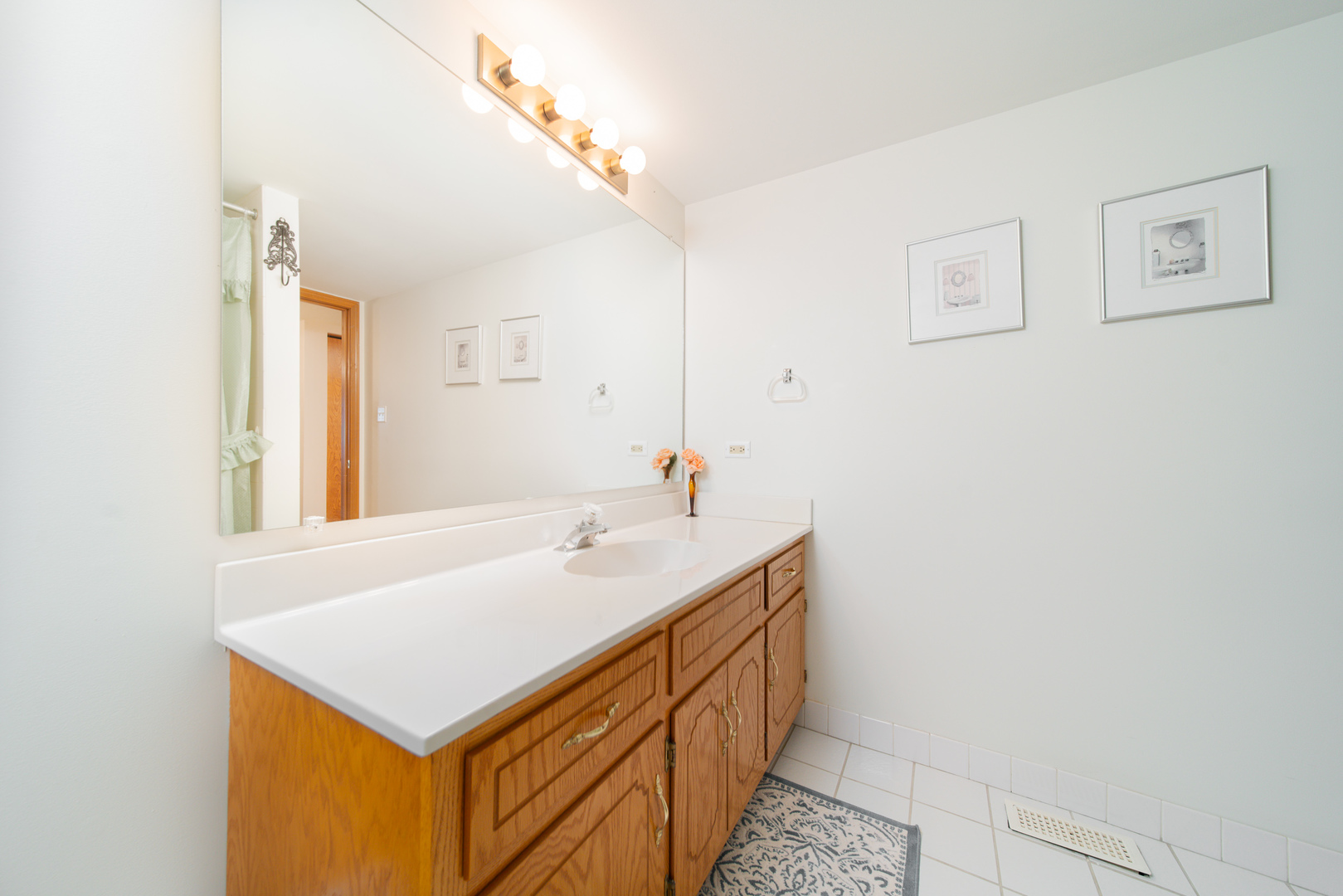 10640 Ridgeland Avenue, Unit 1C Chicago Ridge, IL 60415 - Photo 10 of 16 a bathroom with a sink a mirror and a vanity
