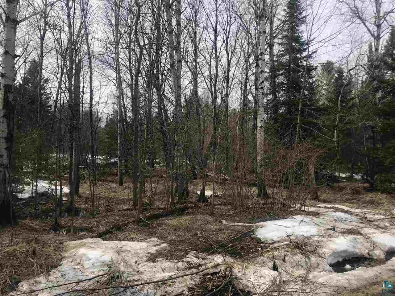 Xyz Larson Road Esko, MN 55733 - Photo 2 of 6 Gallery Image 2