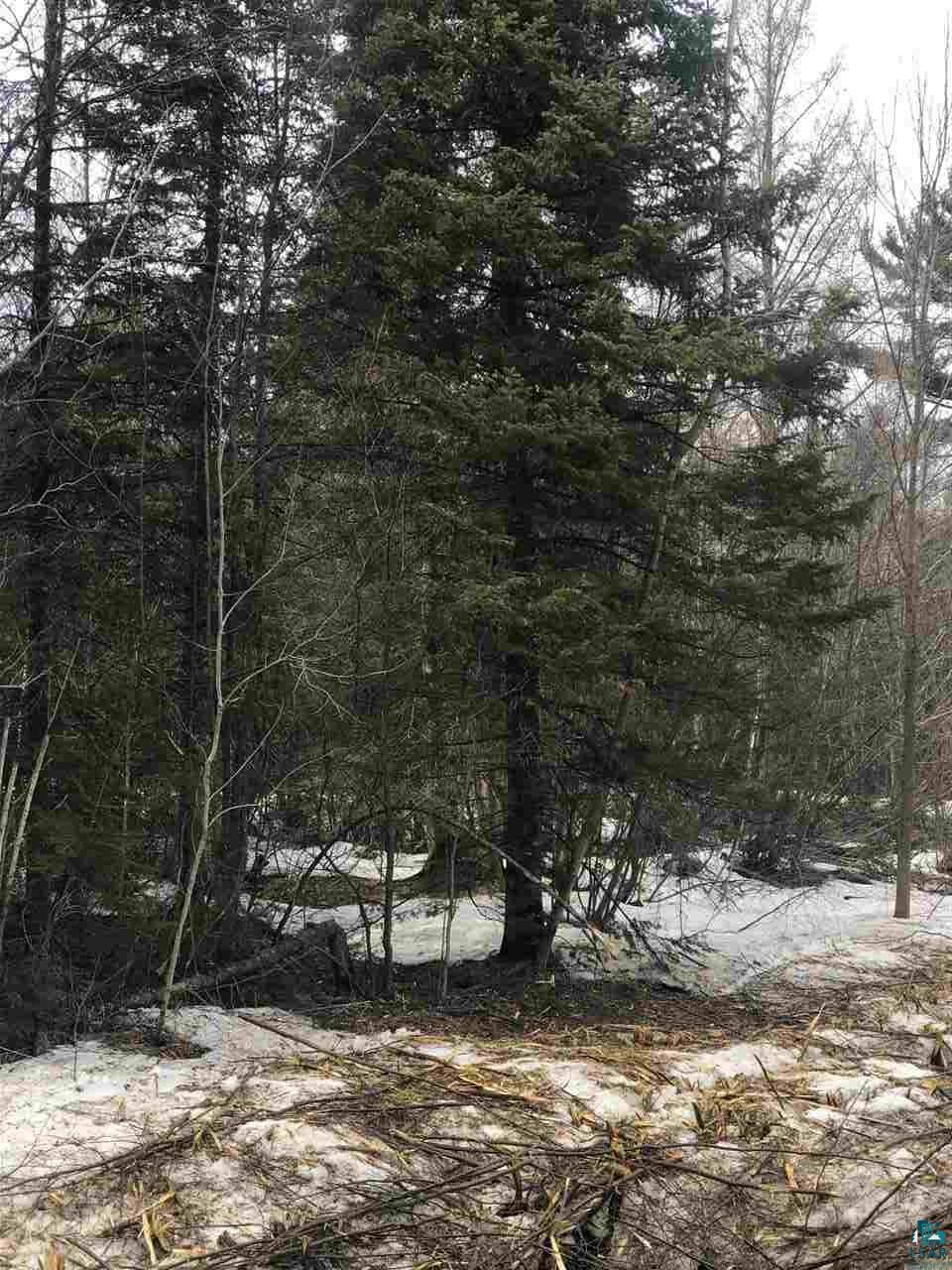 Xyz Larson Road Esko, MN 55733 - Photo 5 of 6 Gallery Image 5