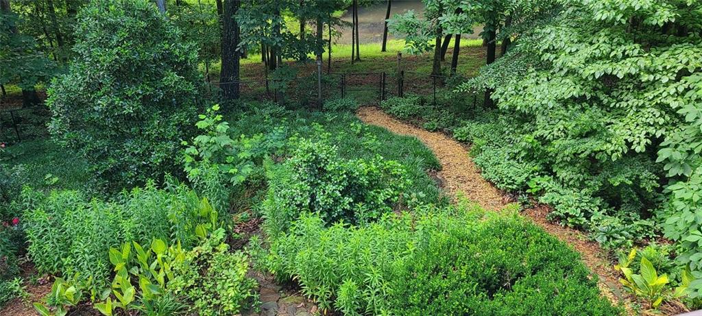 731 Hidden Lakes Trail Jefferson, GA 30549 - Photo 56 of 70 a view of a yard with plants and large trees