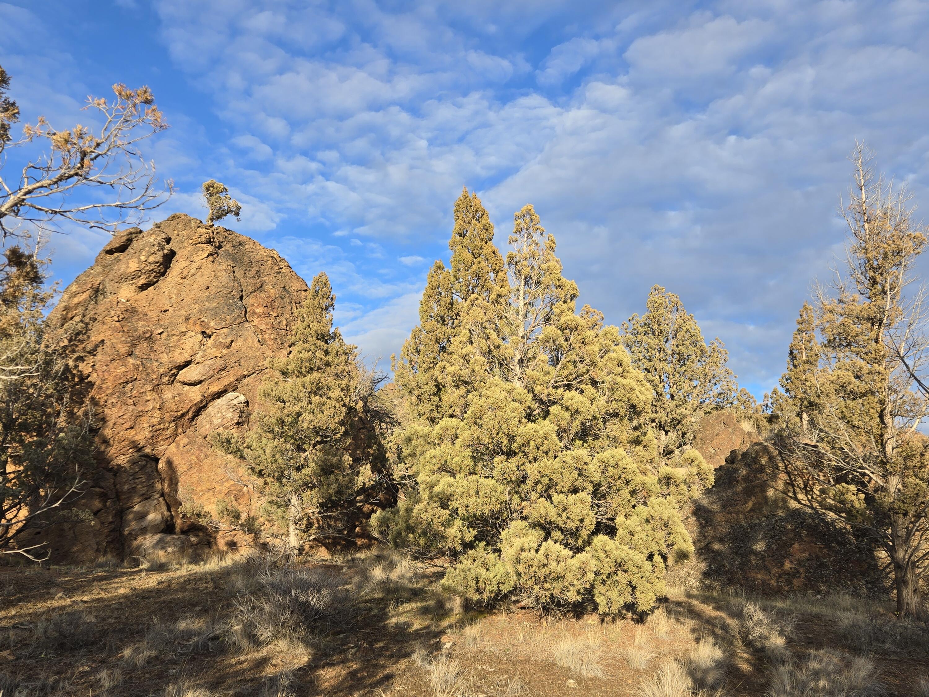 9697 Pavati Road, Unit LOT 27 Prineville, OR 97754 - Photo 7 of 10 20260211_162837