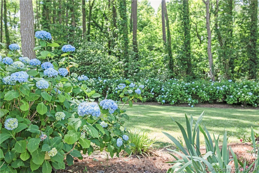 175 Seaside Way Gwynn, VA 23076 - Photo 41 of 48 a backyard of a house with lots of green space