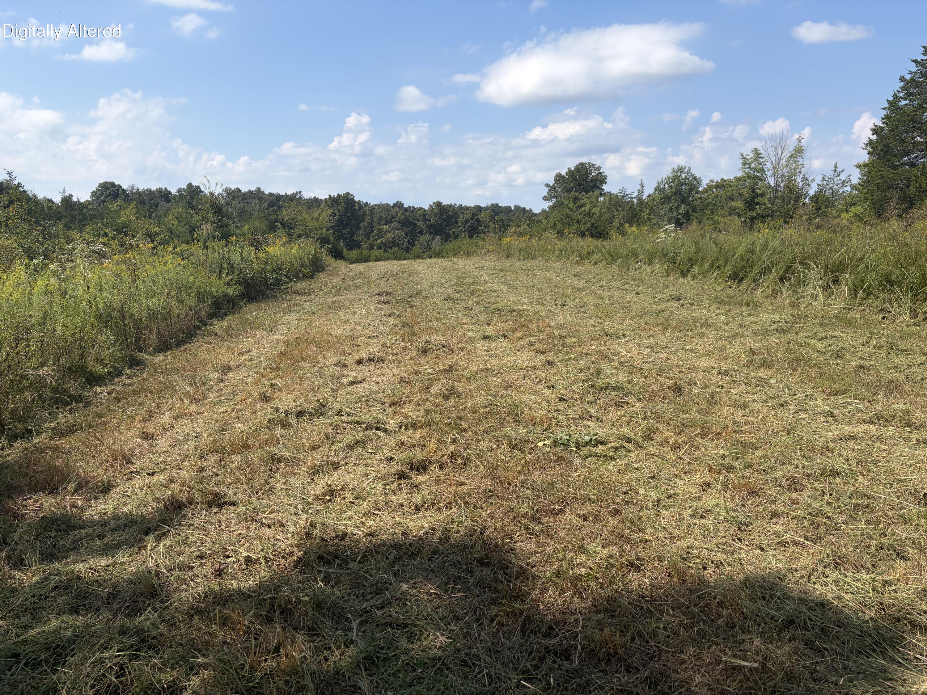 0 County Line Road Columbia, KY 42728 - Photo 17 of 28 Fresh cut in progress 9/8/26