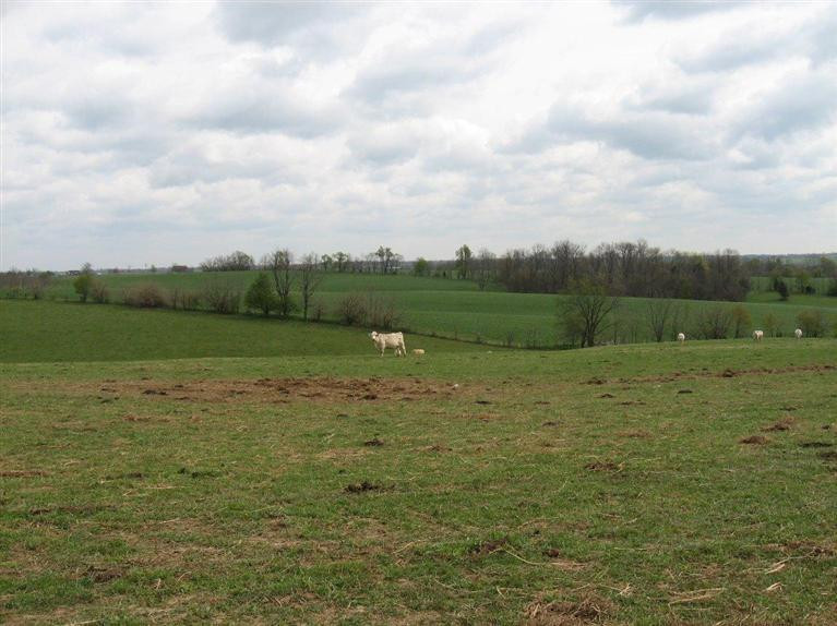 2404 Jackstown Road Carlisle, KY 40311 - Photo 14 of 36 Photo 14