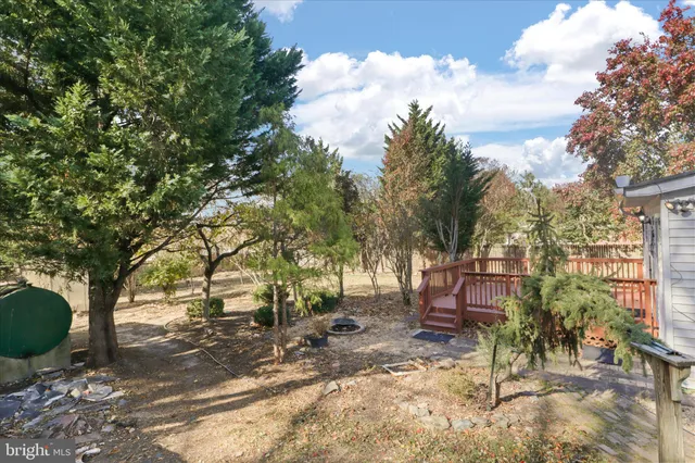 a view of backyard with a table and chairs and a large tree