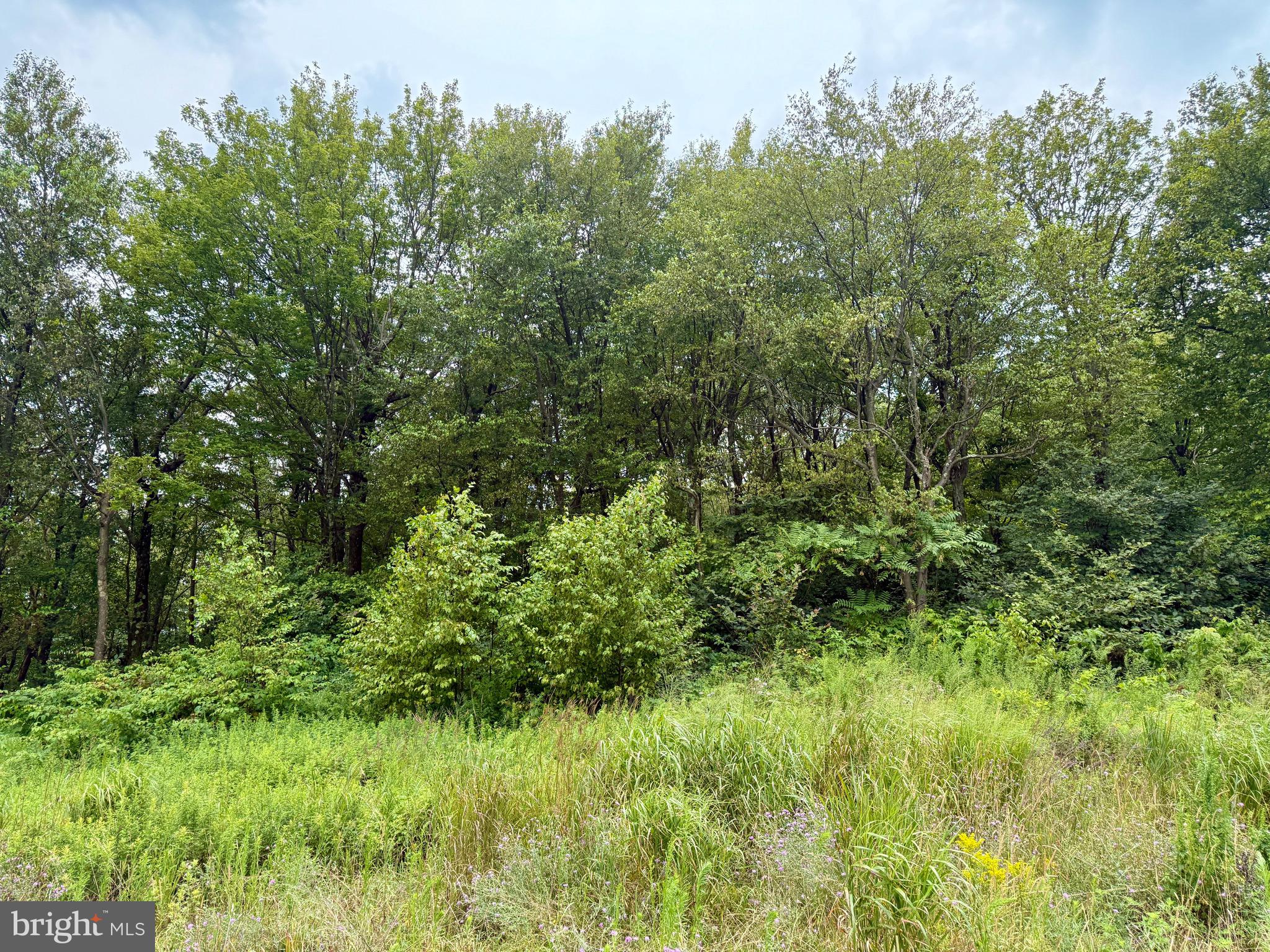 Mountain Road James Creek, PA 16657 - Photo 25 of 28