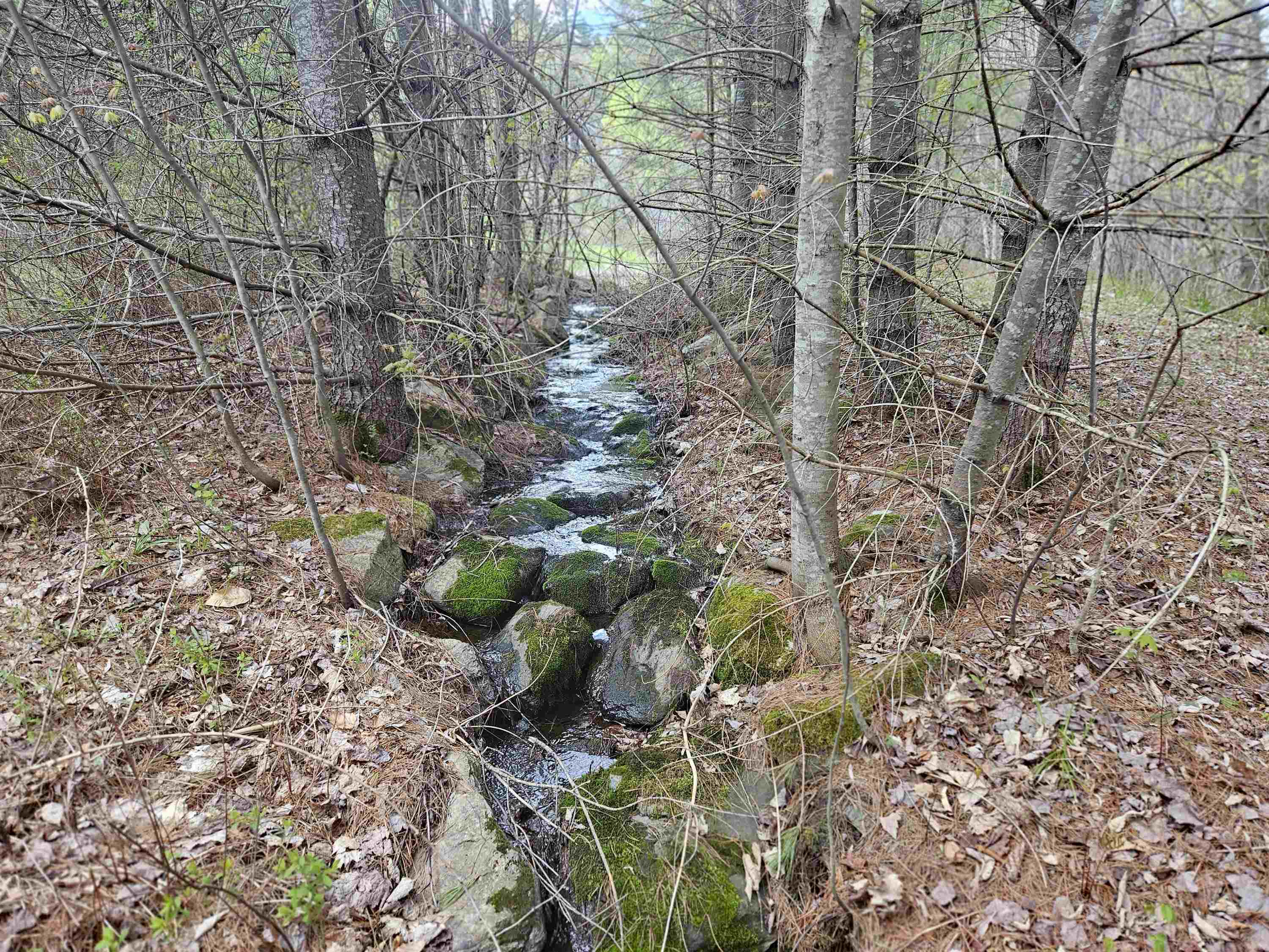 25 Yeaw Road Dover, VT 05341 - Photo 8 of 34