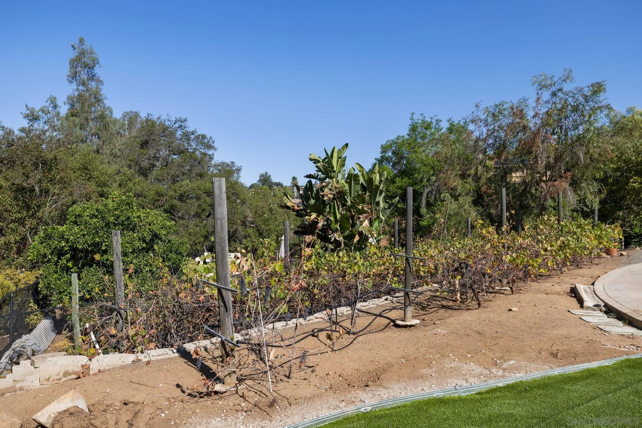 2060 Forester Creek Road El Cajon, CA 92021 - Photo 40 of 54 Gallery Image 40