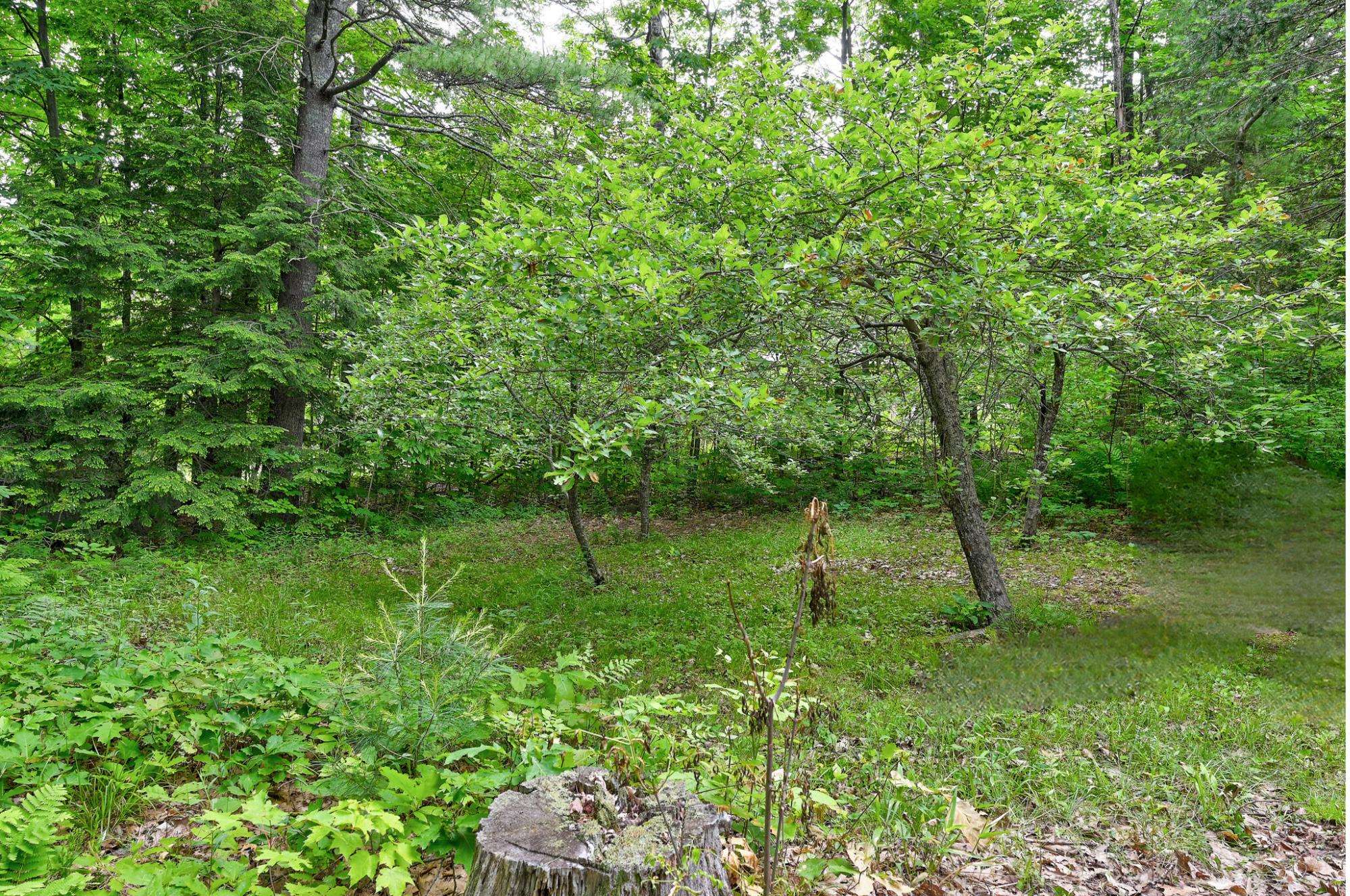 1661 Brownfield Road Conway, NH 03813 - Photo 33 of 35