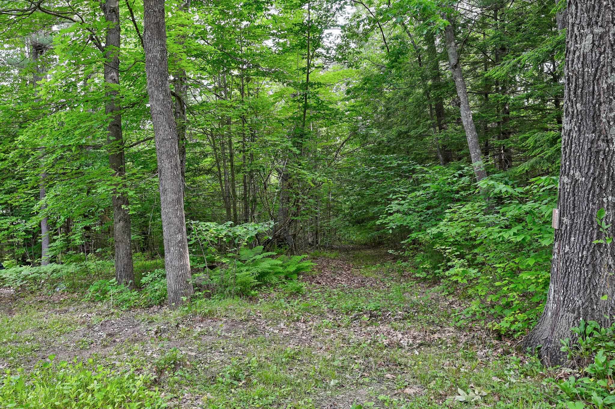 1661 Brownfield Road Conway, NH 03813 - Photo 35 of 35