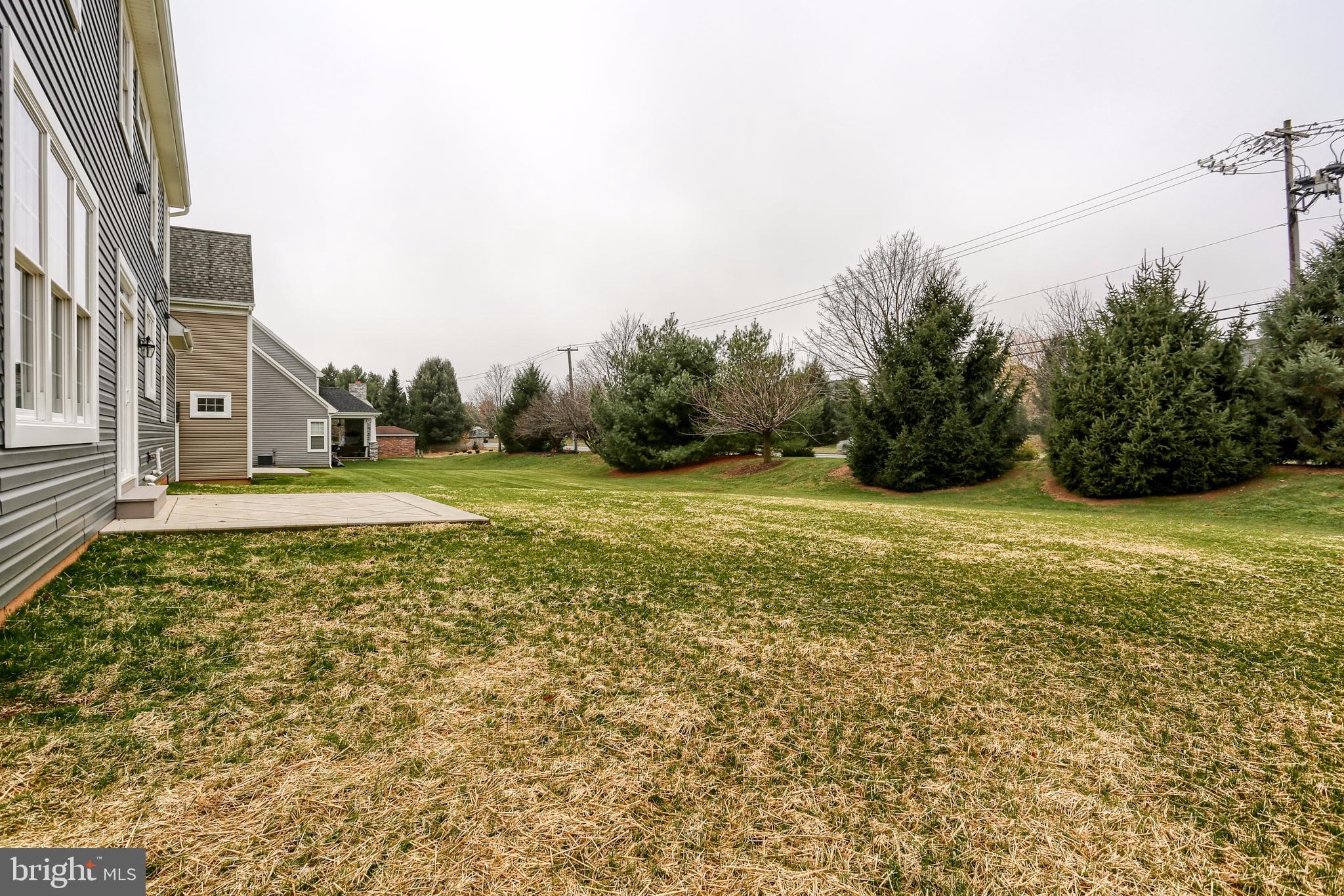 1033 Suffolk Drive Lititz, PA 17543 - Photo 3 of 45 Back yard , a buffer of evergreen trees.