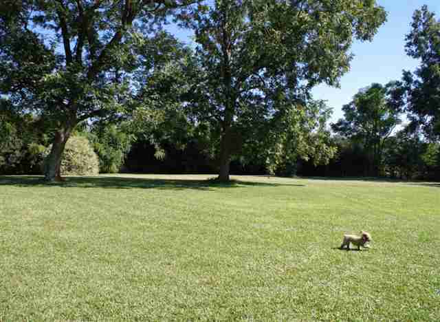 2438 East Georgia Road Simpsonville, SC 29681 - Photo 23 of 25