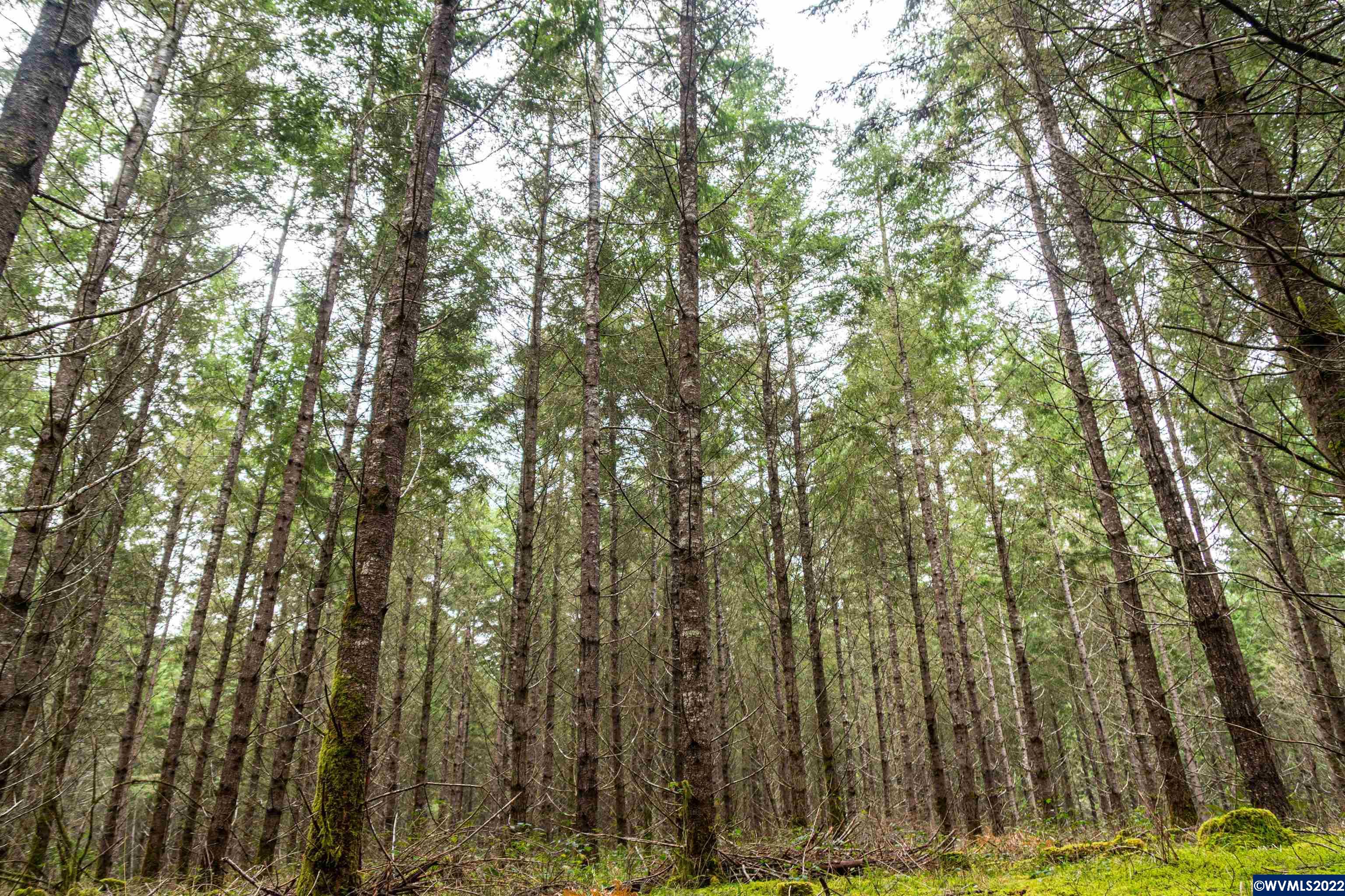 Na Foster Road Monroe, OR 97456 - Photo 17 of 32 Gallery Image 17