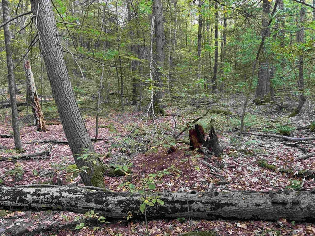 $49,000 | Kurn Hattin Road, Putney, VT 05346