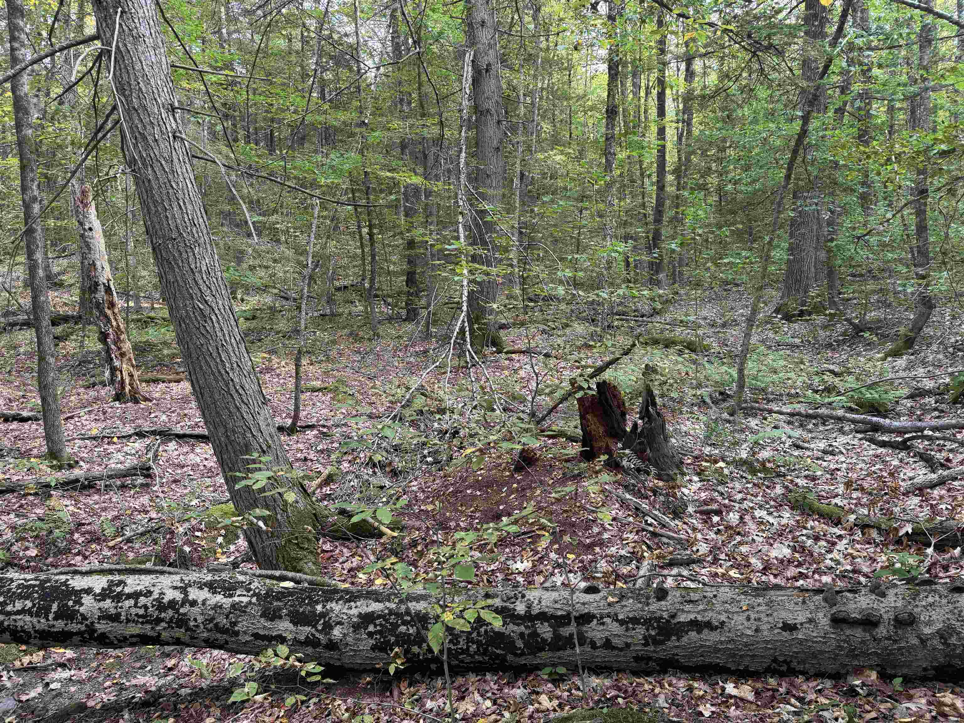 Kurn Hattin Road Putney, VT 05346 - Photo 3 of 6