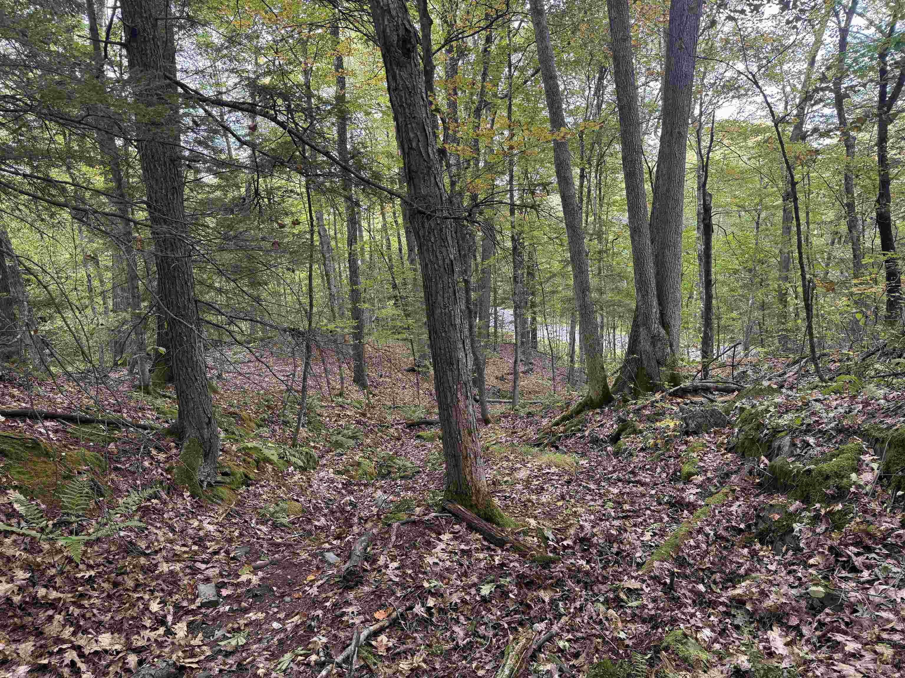 Kurn Hattin Road Putney, VT 05346 - Photo 4 of 6