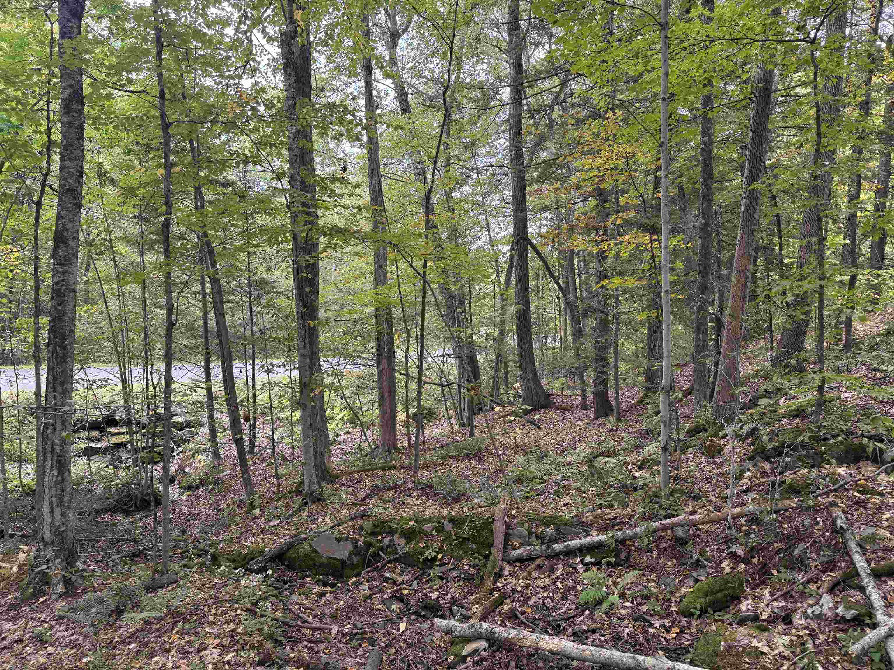 Kurn Hattin Road Putney, VT 05346 - Photo 5 of 6