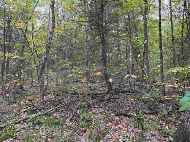 $49,000 | Kurn Hattin Road, Putney, VT 05346