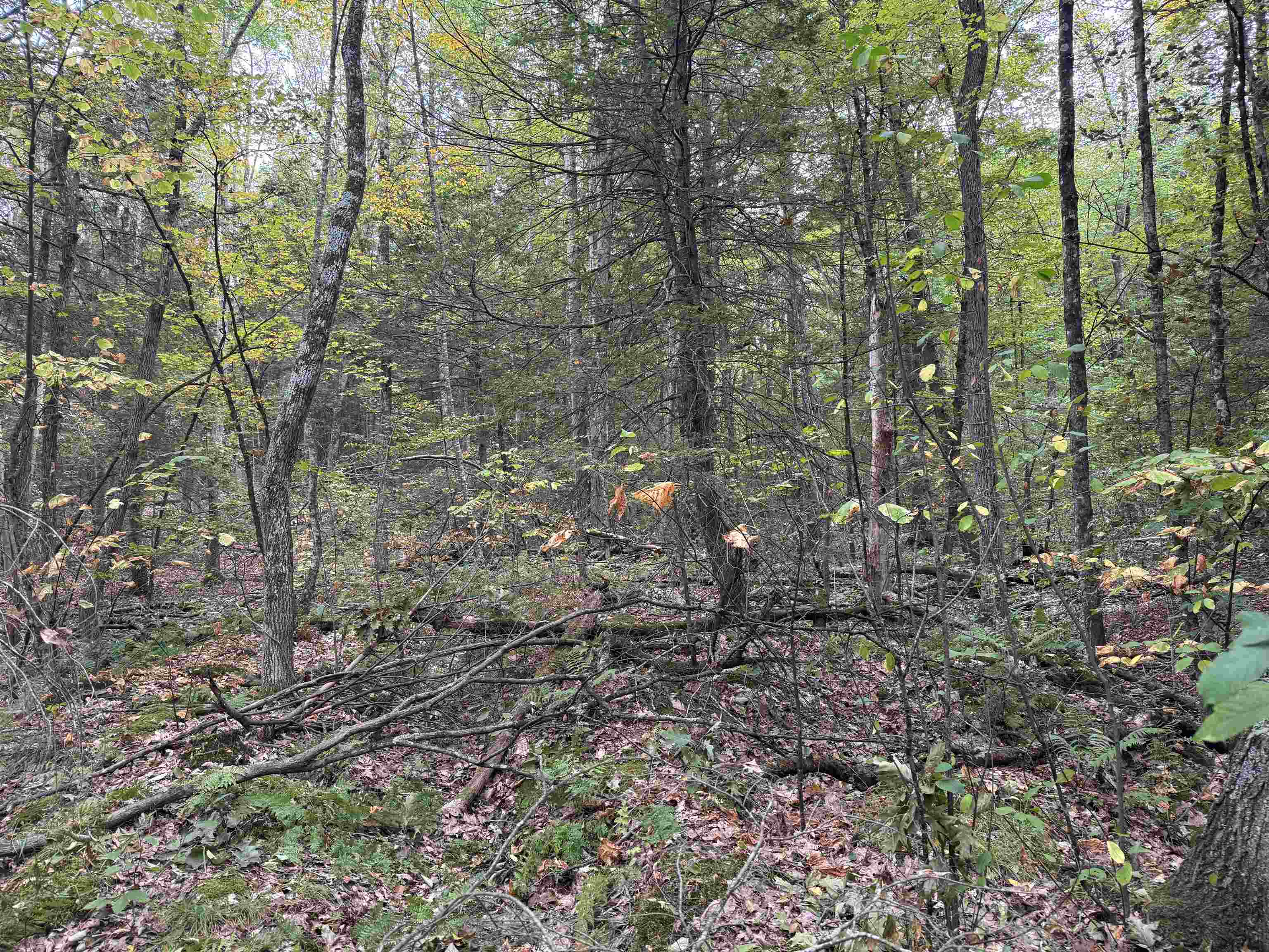 Kurn Hattin Road Putney, VT 05346 - Photo 6 of 6