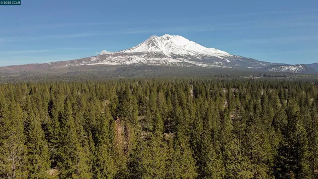 a kitchen with stainless steel appliances granite countertop a stove and a refrigerator
