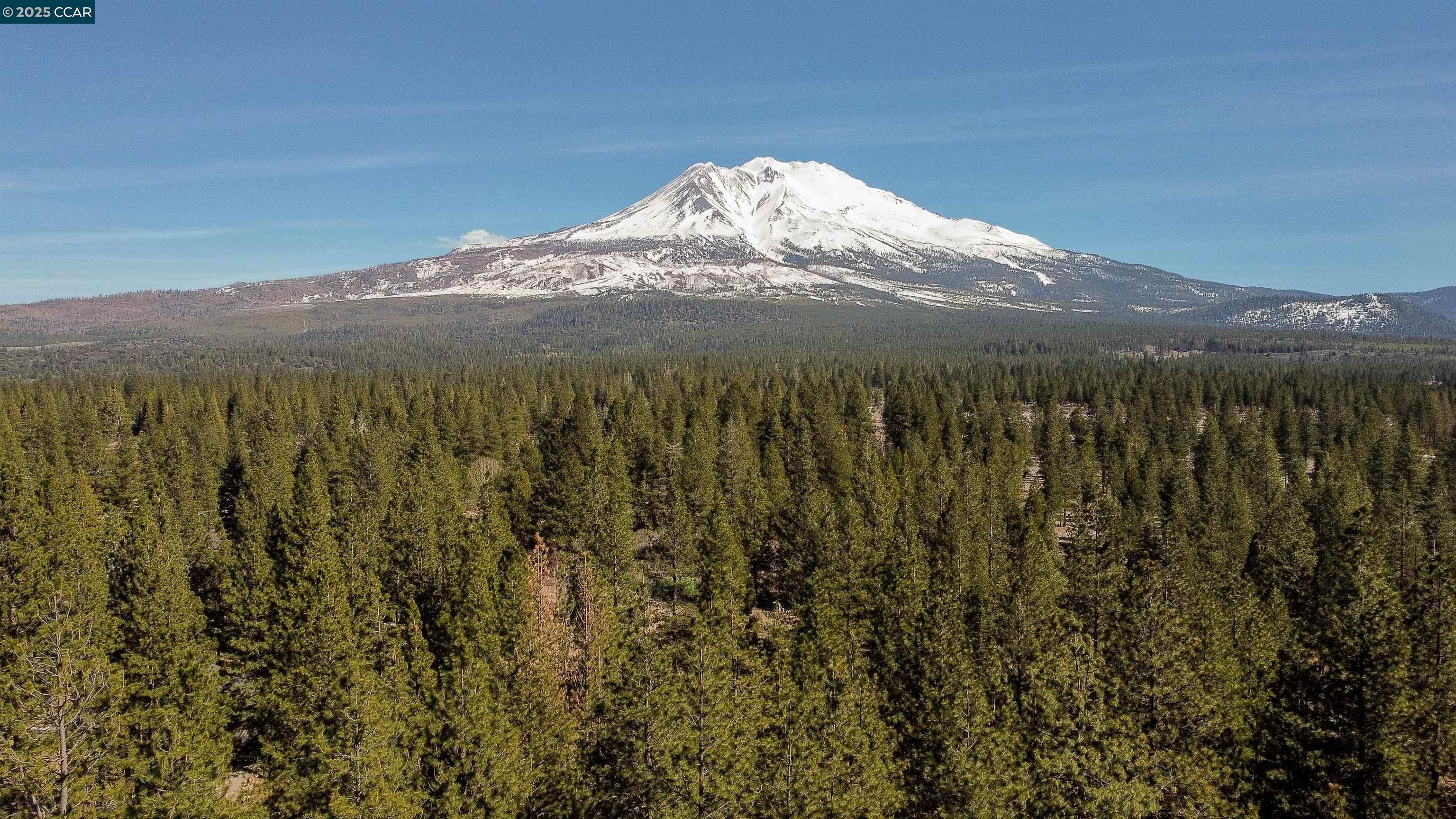 1324 Alves Road Weed, CA 96094 - Photo 48 of 58 a view of a mountain in the distance
